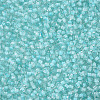 11/0 Grade A Transparent Glass Seed Beads X-SEED-N001-D-219-2