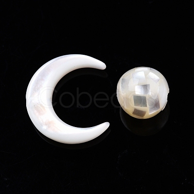 Natural White Shell Beads Set SSHEL-N032-51-B01-1