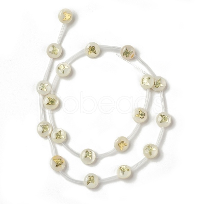 Natural Freshwater Shell Beads Strands BSHE-B005-13F-1