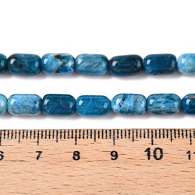 Natural Apatite Beads Strands G-G980-51B-1