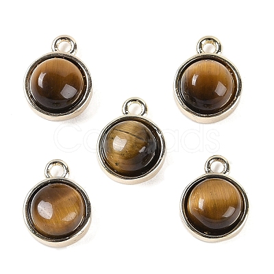 Natural Tiger Eye Pendants G-K372-03G-13-1