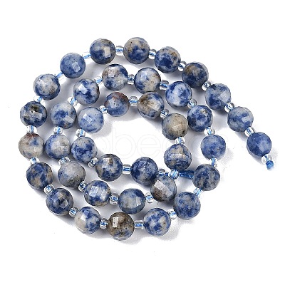 Natural Blue Spot Jasper Beads Strands G-G182-B31-03-1