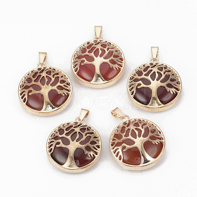 Natural Carnelian Pendants G-S292-10H-G-1