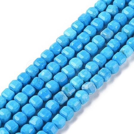 Natural Howlite Beads Strands G-G001-A01-01-1