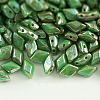 Czech Glass Beads X-GLAA-L025-A12-1