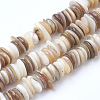 Natural Shell Beads Strands X-SSHEL-Q298-13-1