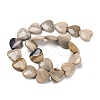 Natural Petrified Wood Beads Strands G-I194-19-3