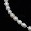 Natural Cultured Freshwater Pearl Beads Strands X-PEAR-L001-D-03-2