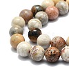 Natural Fossil Coral Beads Strands G-E576-03B-3