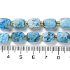 Natural Apatite Beads Strands G-H061-A04-01-5