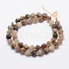 Natural Black Sunstone Beads Strands G-K209-02D-8mm-2