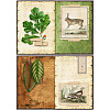 8pcs Forest Theme Scrapbook Paper PW-WG30448-01-5