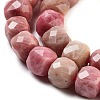 Natural Rhodonite Beads Strands G-H028-A07-01-4