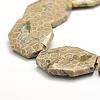 Natural Fossil Coral Beads Strands G-F477-07-44x34mm-3