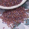 MIYUKI Delica Beads SEED-X0054-DB0982-1