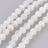 Natural Moonstone Beads Strands G-F568-091-1
