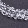 Transparent Glass Beads Strands EGLA-F120-NA01-3