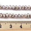 Natural Cultured Freshwater Pearl Beads Strands PEAR-C003-33C-5