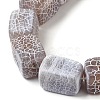 Natural Weathered Agate Beads Strands G-Q169-B04-01-4