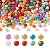 Craftdady 500Pcs 10 Colors Natural Freshwater Shell Beads SHEL-CD0001-02-2