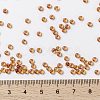 MIYUKI Round Rocailles Beads SEED-X0055-RR0235-3