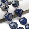 Natural Sodalite Beads Strands G-C150-A29-01-1