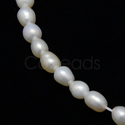 Natural Cultured Freshwater Pearl Beads Strands X-PEAR-L001-D-03-1