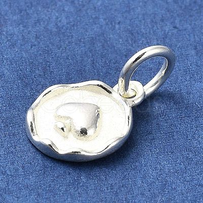 Sterling Silver Charms STER-E070-03B-1