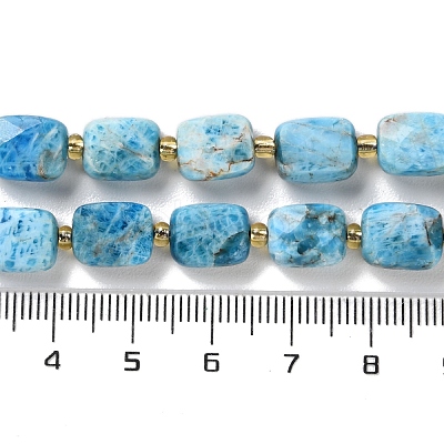 Natural Apatite Beads Strands G-H061-A04-01-1