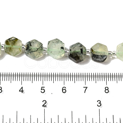 Natural Prehnite Beads Strands G-P534-A01-01-1