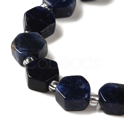 Natural Sodalite Beads Strands G-P534-A11-02-1