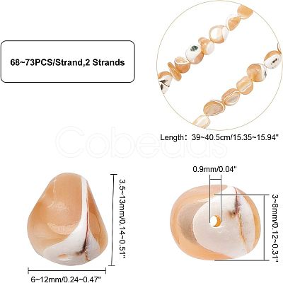 SUPERFINDINGS 2 Strands Natural Trochid Shell/Trochus Shell Beads Strands SSHEL-FH0001-11-1