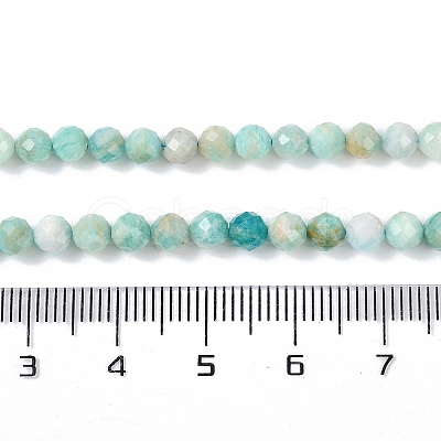 Natural Amazonite Beads Strands G-G139-A15-03-1