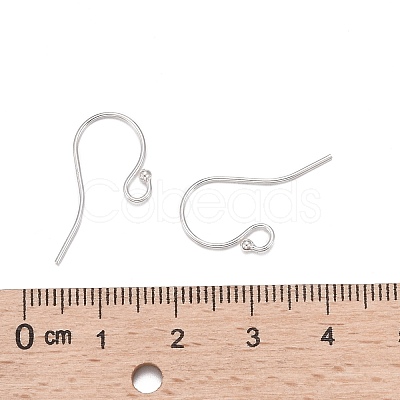 925 Sterling Silver Earring Hooks STER-K167-051C-S-1