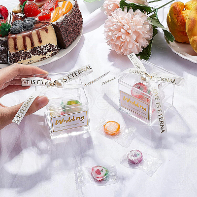 Square Transparent Acrylic Candy Gift Boxes CON-WH0088-15A-1