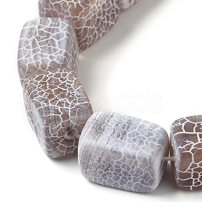 Natural Weathered Agate Beads Strands G-Q169-B04-01-1