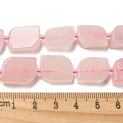 Natural Rose Quartz Beads Strands G-G072-B05-02-1