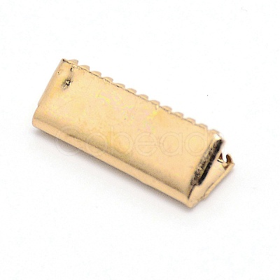 Brass Ribbon Crimp Ends KK-WH0044-03LG-1