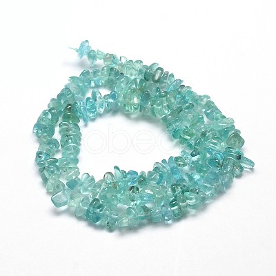 Natural Apatite Chip Beads Strands X-G-E271-80-1