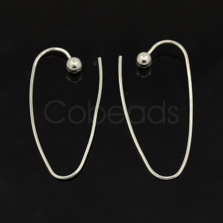 Brass Earring Hooks KK425-S-1