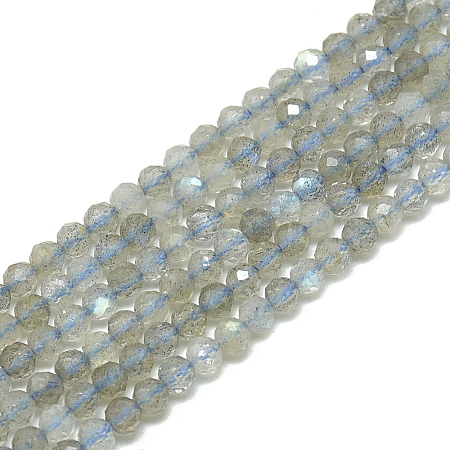 Natural Labradorite Beads Strands G-S300-23-3mm-1