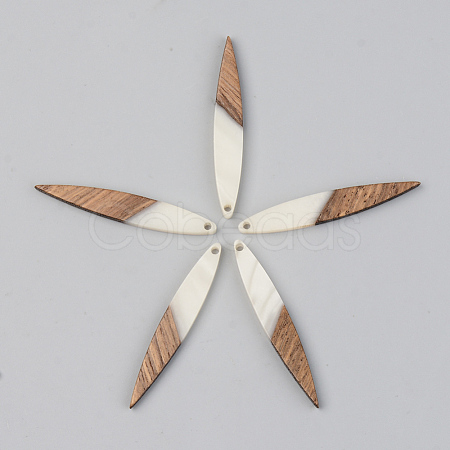 Opaque Resin & Walnut Wood Pendants X-RESI-S389-015A-C04-1