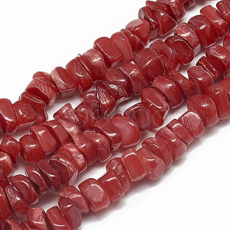 Freshwater Shell Beads Strands X-SHEL-S270-12-1