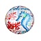 Glass Cabochons, Half Round with Ocean Theme, Colorful, Sea Horse, 34.5x9.5mm