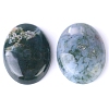 Natural Indian Agate Cabochons PW-WG8E62B-01-2