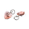 Faceted Transparent Glass Charms GLAA-T024-04J-3