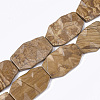 Natural Picture Jasper Beads Strands G-T118-54-1