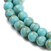Synthetic Turquoise Beads Strands G-U004-02E-4