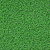 11/0 Grade A Baking Paint Glass Seed Beads X-SEED-N001-A-1027-2
