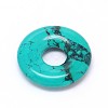 Natural Howlite Donut/Pi Disc Pendants TURQ-E021-01-30mm-2